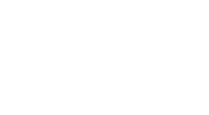 SEBRAE